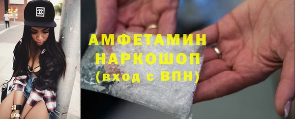 ГАЛЛЮЦИНОГЕННЫЕ ГРИБЫ Корсаков