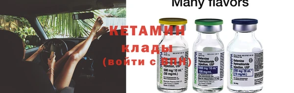 ГАЛЛЮЦИНОГЕННЫЕ ГРИБЫ Корсаков