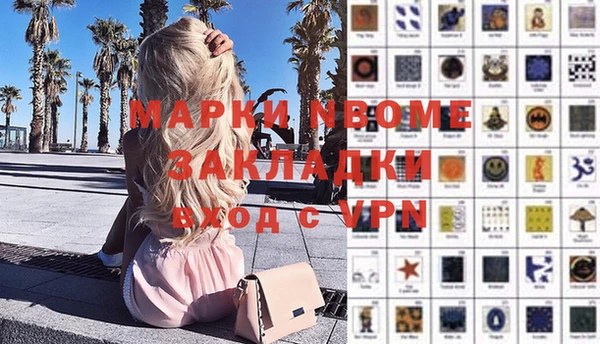 ГАЛЛЮЦИНОГЕННЫЕ ГРИБЫ Корсаков