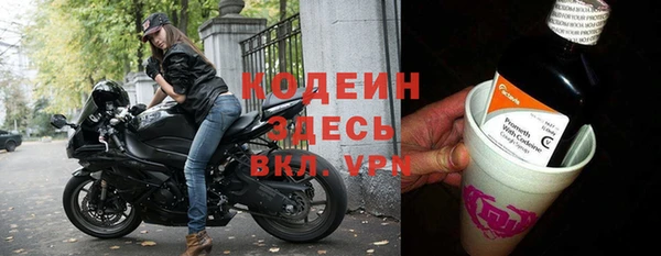 ГАЛЛЮЦИНОГЕННЫЕ ГРИБЫ Корсаков
