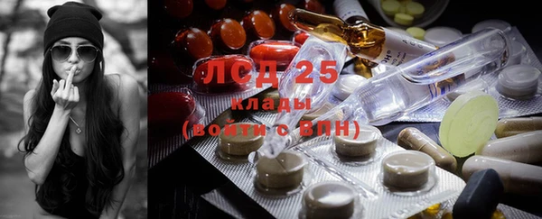 ГАЛЛЮЦИНОГЕННЫЕ ГРИБЫ Корсаков