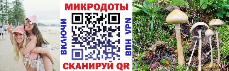 Галлюциногенные грибы Cubensis  Купить закладки  Липецк 